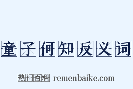 童子何知反义词是什么意思的图片
